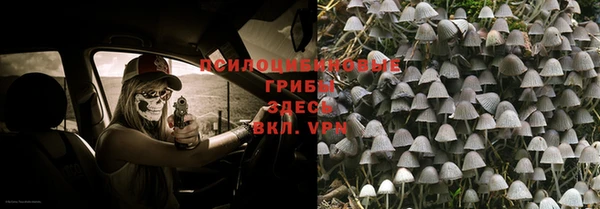 СК Володарск