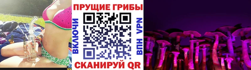 наркотики  Себеж  Псилоцибиновые грибы мицелий 